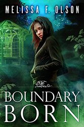 Boundary Born